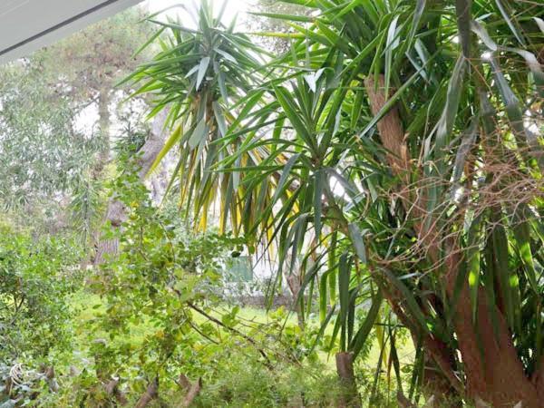 Vouliagmeni'S Secret Garden Near The Sea Apartment Athena Bagian luar foto